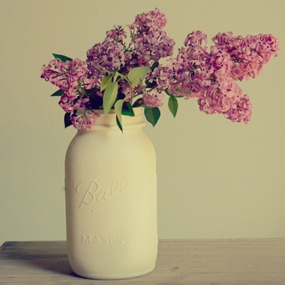 Meet your Posher, Lily